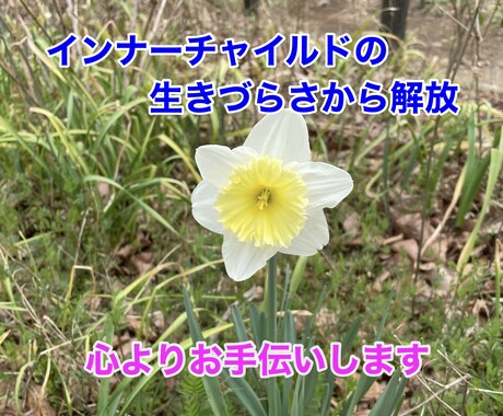 インナーチャイルドの辛さからの解放お手伝いします 小さい頃、受けてしまった傷を引きずっている方に寄り添います。 イメージ1