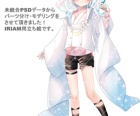 低予算でよく動くLive2Dモデリングを致します キャラクターに合った動くLive2Dモデリングを致します！ イメージ2