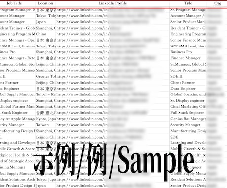 AIでLinkedInの海外リードを発掘します 100%目視検証済みリストで、商談機会を創出 イメージ2