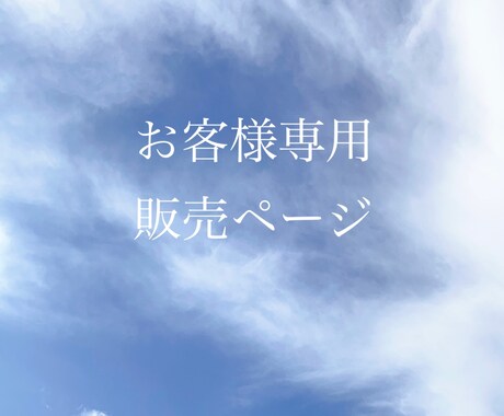 お客様専用ページ対談での相談に対応します EC運営についてのコンサル前確認をいたします。 イメージ1