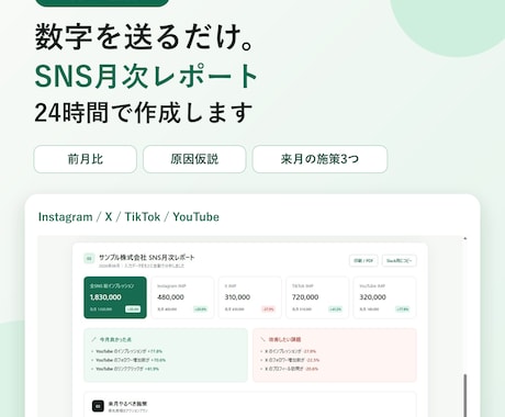 SNS月次レポートを24時間で作成します 数字を送るだけ。原因仮説と来月施策まで イメージ1