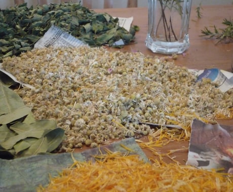 電話は苦手というお客様はこちらをおすすめします 対面占い鑑定歴20年以上のプロ占い師による鑑定 イメージ1