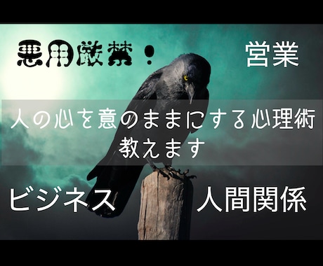 悪用厳禁！人を操る術を教えます ビジネス経験豊富な占い師が人の心を動かすテクを教えます イメージ1