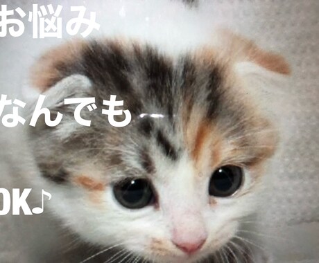 簡単！ メルカリ売れる商品を教えます 売れる商品がわからない、月額ツール代金支払いたくない人、必見 イメージ1