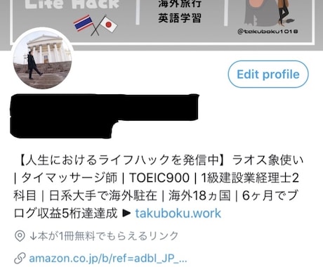 固定ツイートで宣伝します 拡散グループによるサポートを低価格で。 イメージ2