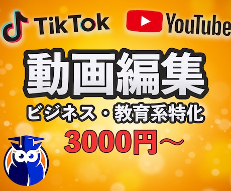 Youtube・Tiktok向けの動画を編集します ビジネス系・教育系に特化しています（その他のジャンルもOK） イメージ1