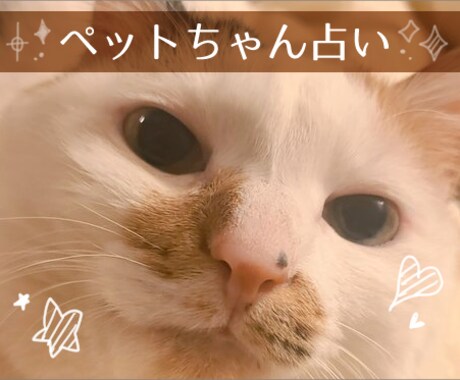 ペットちゃんの誕生日を占いからご提示いたします ペットちゃんの性格やエピソードからピッタリなお誕生日を提案★ イメージ1