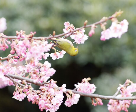 どんなお話しでも親身になってお聞きします 誰かに話して笑顔になりたいあなたへ。電話でお話ししましょう。 イメージ2
