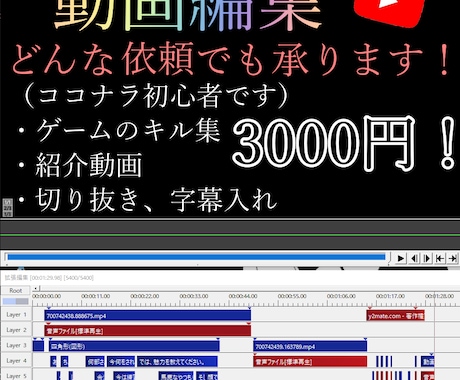 どんな動画でも作製します イメージ1