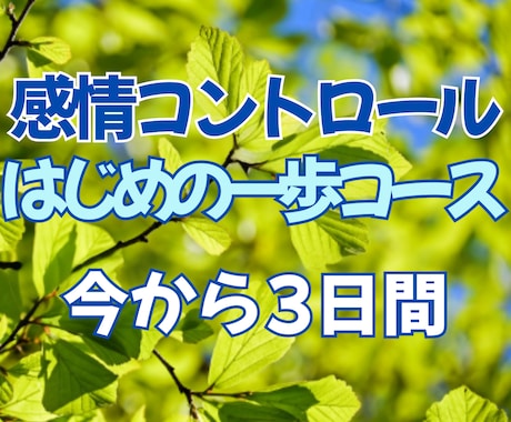怒りや悲しみ、書き殴ってください！受け止めます 元幼稚園教諭が、あなたの3日間感情コントロールに伴走します！ イメージ1