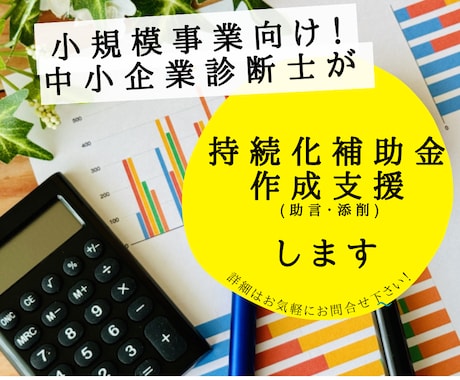 小規模事業持続化補助金申請書を添削します 中小企業診断士が小規模事業持続化補助金申請書を添削します イメージ1