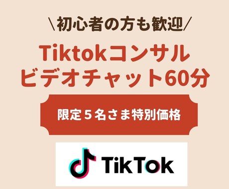 TikTokプロモーターがご相談にのります 【初心者歓迎】法人・企業様も マーケティング視点でコンサル イメージ1