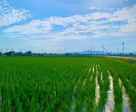 安心できる"話し相手"になります 「気軽に愚痴・悩みを話してスッキリしませんか？」 イメージ1