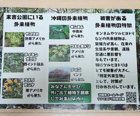 中学２年生の息子が心を込めてチラシを作成します 皆さんのアドバイスを頂きながらチャレンジさせてください。 イメージ2