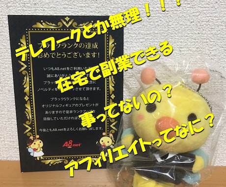 在宅で副業できるアフィリエイト相談に乗ります 本業でテレワークとか無理！在宅で稼げるスキルを身に着けたい方 イメージ1