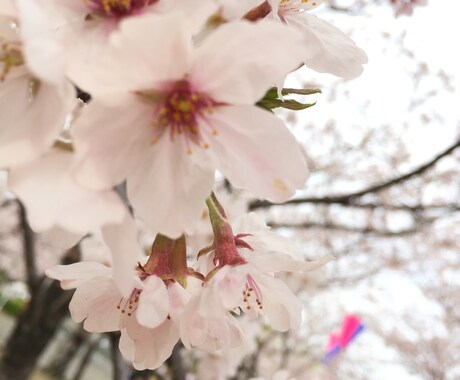 1時間友達になります 友達がいない、気軽に話せる友達がいない人にオススメです。 イメージ1