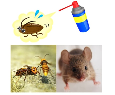 あらゆる害虫対策・ネズミ対策お答えします 害虫やネズミでお困りの方にプロがサポートします！ イメージ1