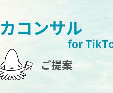 TikTok運用のお悩みを解決します ビデオチャットでTikTok運用の相談に乗ります イメージ2
