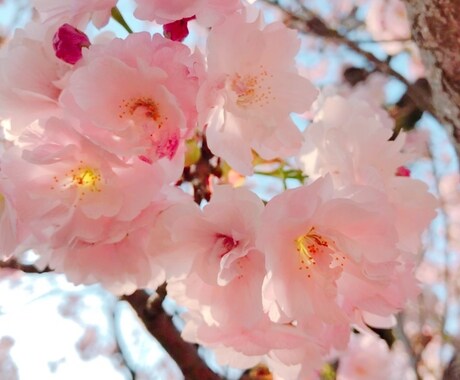 子育て中のお母さんのお話、何でも聴きます 子育て心療カウンセラー／2児の母／発達障害児の支援経験あり イメージ1