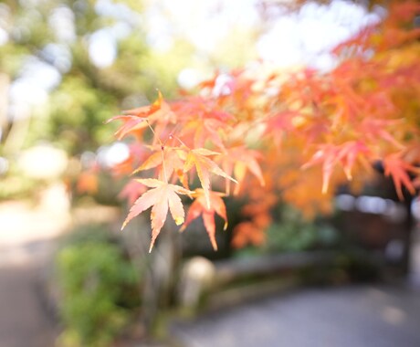 本気で結婚したいと頑張るあなたをサポートします 36歳でスピード婚をした女性が話を聞きます イメージ1