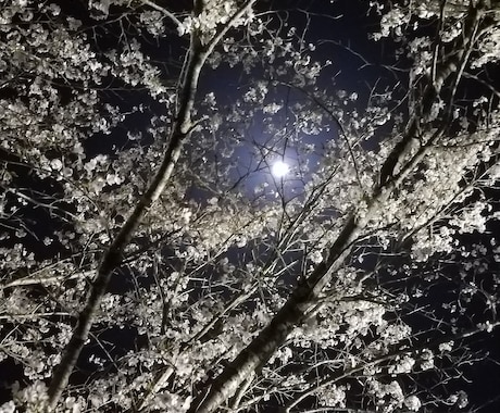 ドン底から這い上がった僕が何でも話し聞きます 思い詰めないで小さい悩みや大きな問題僕にぶちまけて下さい。 イメージ1