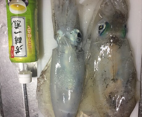 釣れない方必見！エギングでお悩みの方釣り方教えます エギングを始めたい方、なかなか釣れない方はどうぞ。 イメージ2