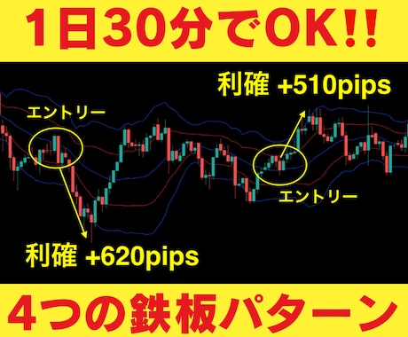 1日30分！FXプロが使う４つの鉄板手法教えます FX専業の私が持つ手法の中で一番稼げる4つの鉄板パターン！ イメージ1