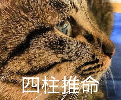 四柱推命であなたの悩みを解消します 的確なアドバイスでそっと後押しさせていただきます✧︎ イメージ1