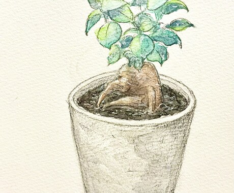 手描きでフードや植物のイラストを描きます 温もりのあるイラストで商品やお店のファンを増やしたい方へ イメージ2