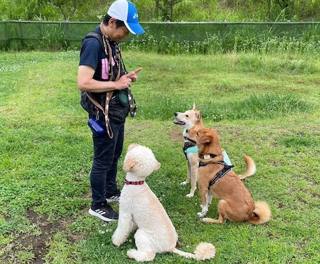 ワンちゃんを迎える準備、心構えをお話します （スタートから悩まない、ワンちゃんの飼育環境整備） イメージ2