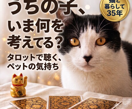ペットの気持ちをタロットで読み解きます 猫と暮らして35年・保護猫3匹の60歳鑑定士が寄り添います イメージ1