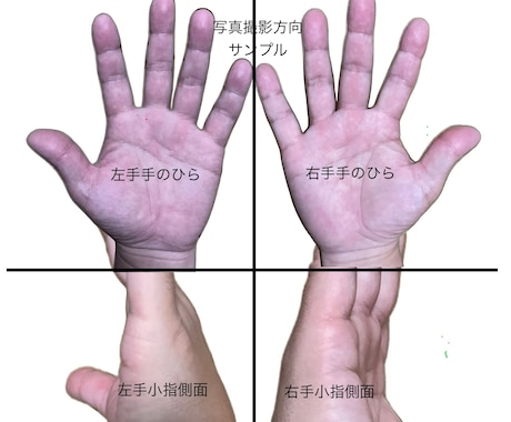 細かい線まで手相鑑定☪️貴方の心の鍵を開きます 写真4枚解説両手手のひらにカラー線とテキストで解説し占います イメージ2