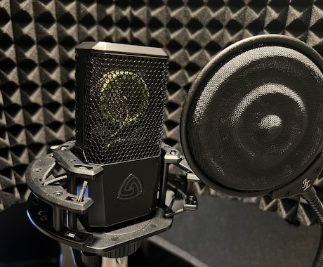 低音/落ち着いた声のナレーションを提供します ドキュメンタリー/企業紹介/研修動画/朗読等に対応可能です。 イメージ2