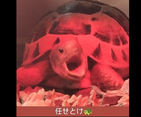 あなたのお話何でも聞きます 生きるって大変 ちょっとお話しましょうよ イメージ1