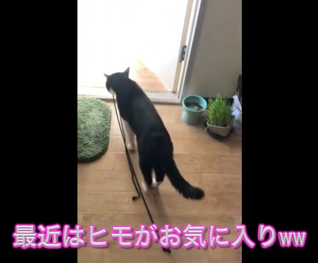 動画のテロップ入れます 動画のカット・テロップをファイナルカットプロで作成します。 イメージ2