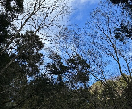 今の保険見直しのご相談お聞きします 今の生命保険あなたに合っていますか？ イメージ1