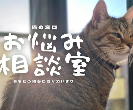 あなたの心の悩み伺います 経験者だから伝えられる事がある、3日間ゆっくり話しましょう イメージ1