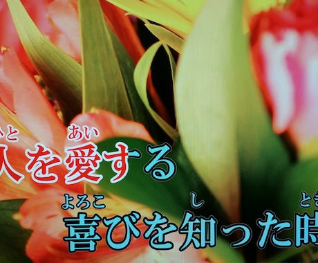 カラオケ映像作ります オリジナル楽曲をみんなに歌ってほしい！ イメージ1