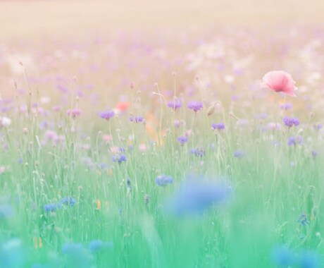 溜めずに吐き出しちゃえ〜！自然に好転させます 貴方の違和感、感じたこと、悩み、私に話せばすんなり好転します イメージ2