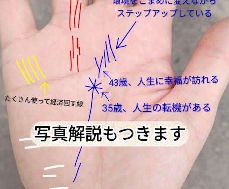 手相占い＊リピーター様専用＊再鑑定します 状況が変わったり新しい質問がでてきましたらご利用ください。 イメージ2
