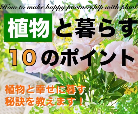 植物や花と幸せに暮らす10のポイントをお教えします ガーデニングやインテリア風水として植物や花を楽しみたい方に イメージ1