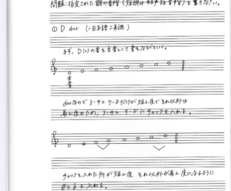 あなた様専用の楽典の解説付きドリルを作成します 段階に合ったわかりやすい教材を作成いたします。 イメージ2