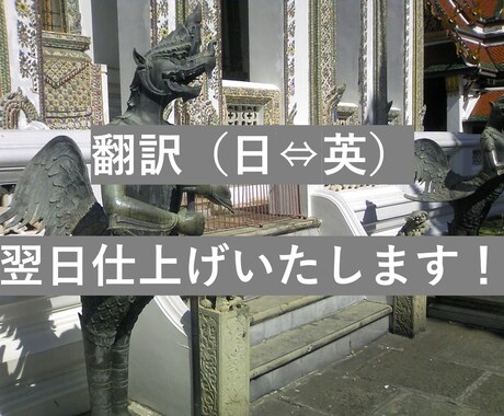 日英、英日翻訳(翻訳チェック)をいたします 事前にビデオチャット打合せをご希望の方へのサービスです イメージ1