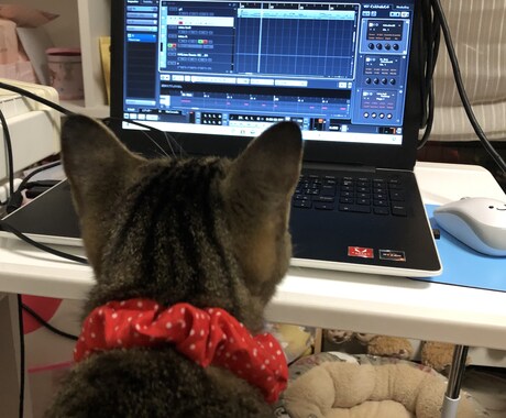 歌ってみた等の音程補正いたします お気軽にご相談ください。なる早納品です♫ イメージ1