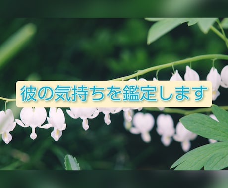 お相手の気持ちを鑑定します お相手の気持ちを知ることで、行動の仕方が丸分かり♡ イメージ1