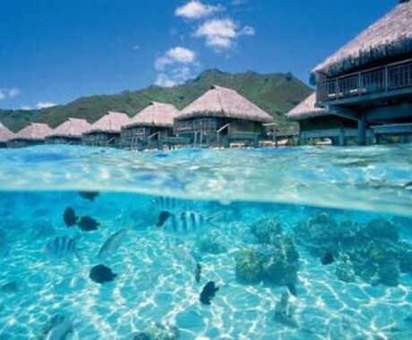 貴方の為にステキな旅をご用意します 行き先、過ごし方共にベストな忘れられない旅のプランを貴方へ イメージ2