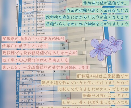 看護師、保健師2種資格持ちが健診結果を読み解きます 保健師だけじゃない！看護師と二つの観点から徹底的にサポート！ イメージ1