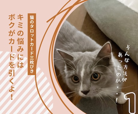 猫の神秘的な直感が迷える恋心を占います 恋するあなたに猫たちがそっと選ぶタロットのメッセージ✴︎ イメージ2