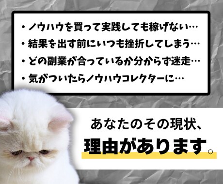 結果が出ない副業初心者さんを救うコンサル致します AIで時短商品作成&販売する【手に職】スキルを短期習得！ イメージ2