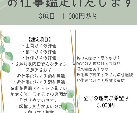 転職？それとも独立？評価は？お仕事鑑定致します 鑑定項目を自由に３つ組み合わせてご購入いただけます。 イメージ1
